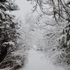 Meet your Posher, Stella